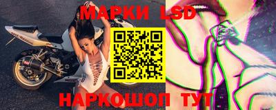 ECSTASY Новодвинск