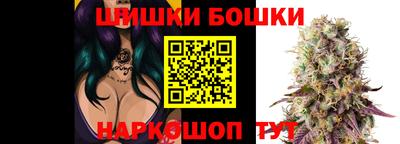 jwh Новозыбков